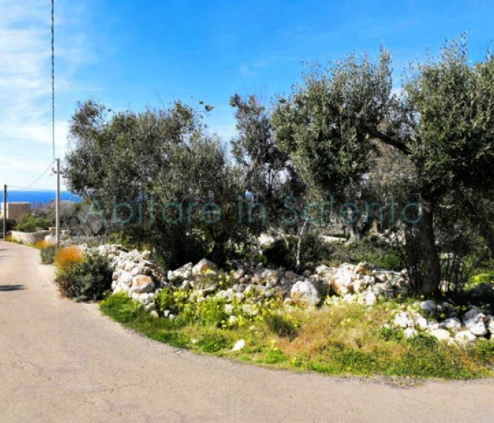 Sea View Land with Pajara