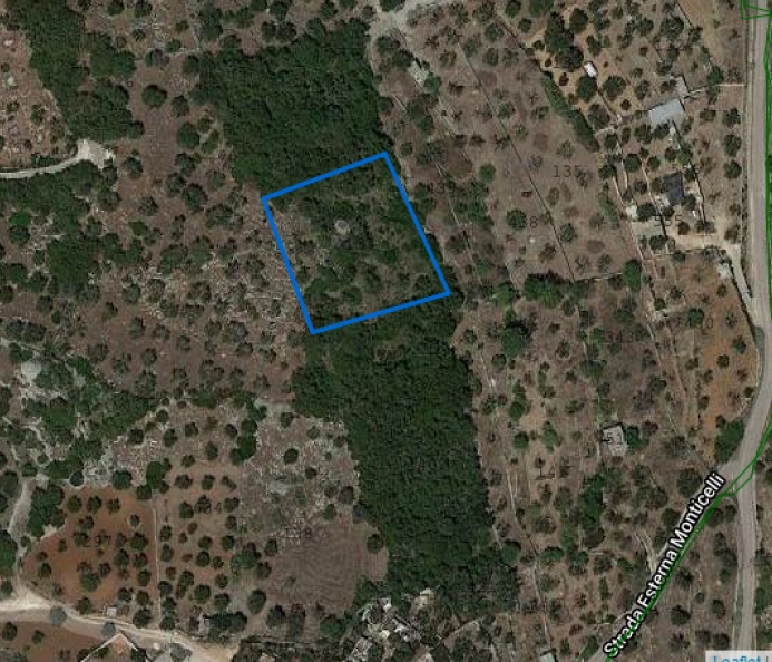 Land with Pajara