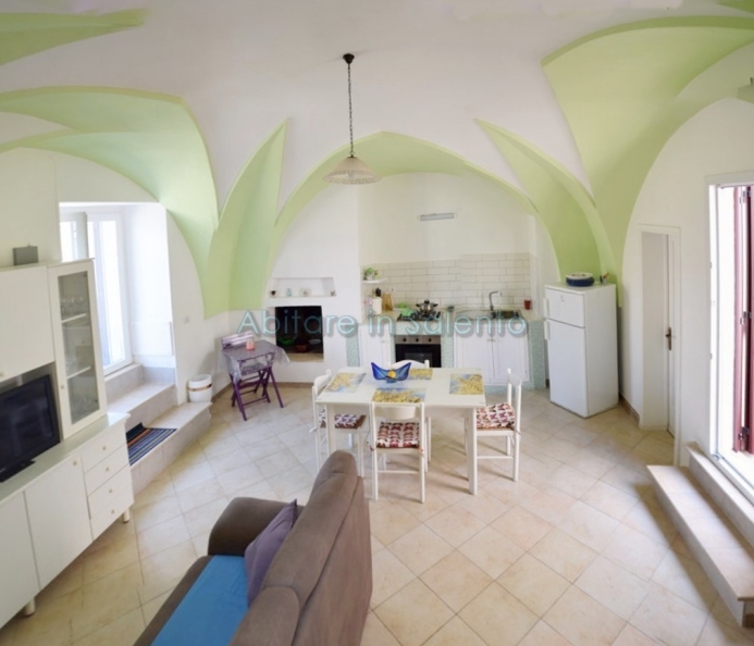 Renovated Detached House Vaulted Ceilings