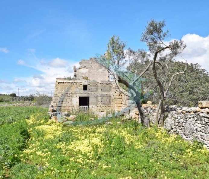 Ancient Farmhouse with Land