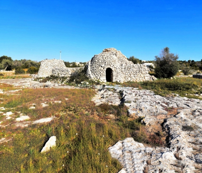 Pajara with Sea View