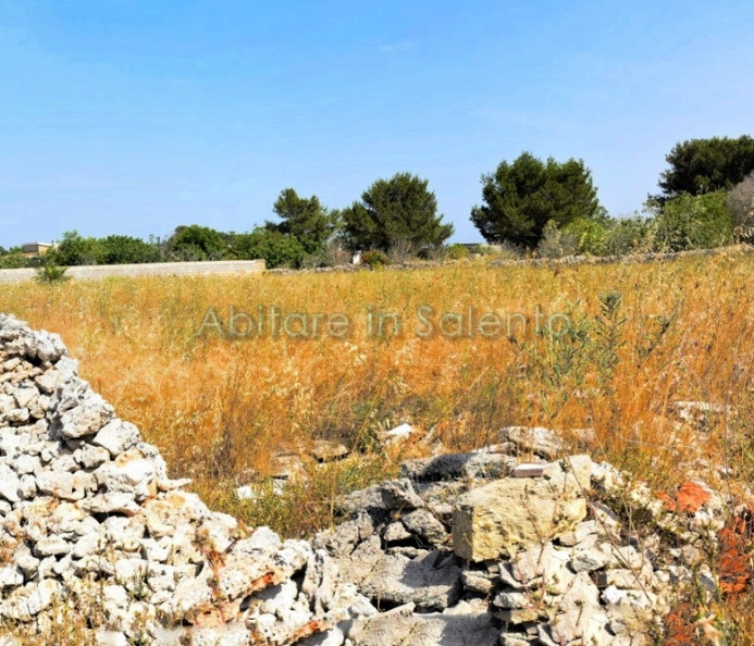 Agricultural Plot of Land