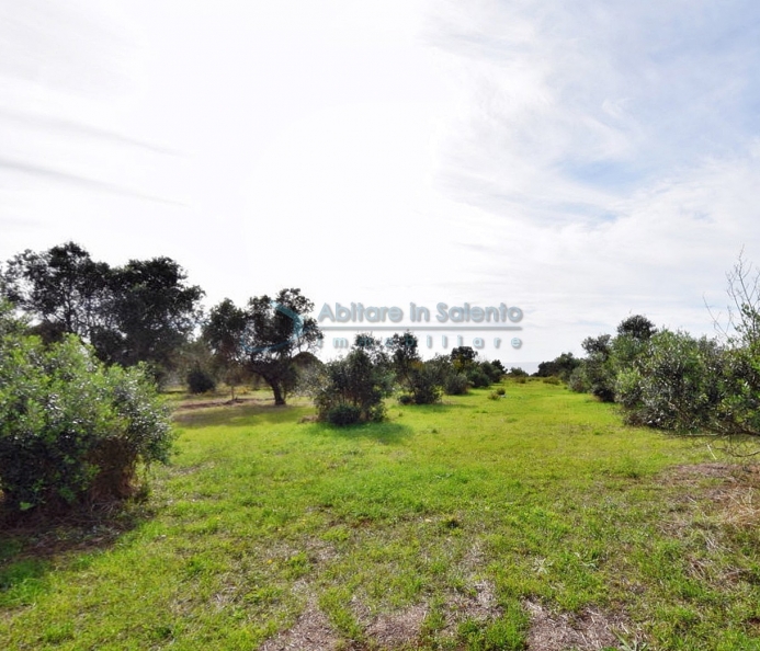 Agricultural land with sea view