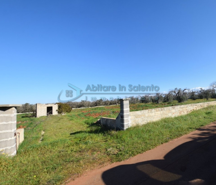 Agricultural land near the Adriatic coast.