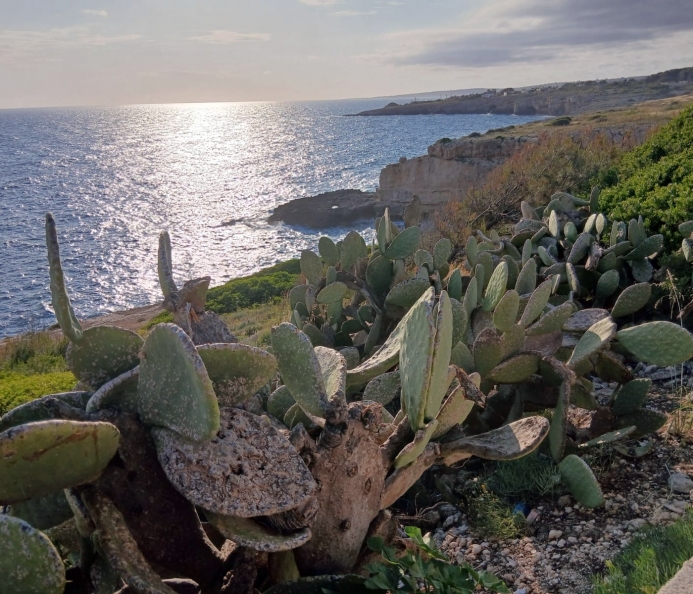 Panoramic Sea View Land