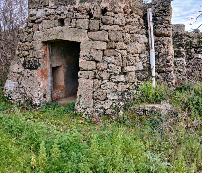Rural Land with Stone Pagliara