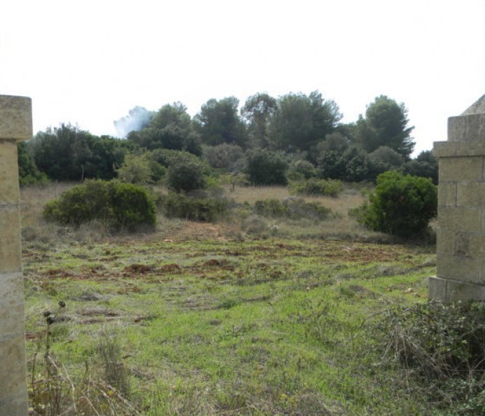 Agricultural Plot Of Land