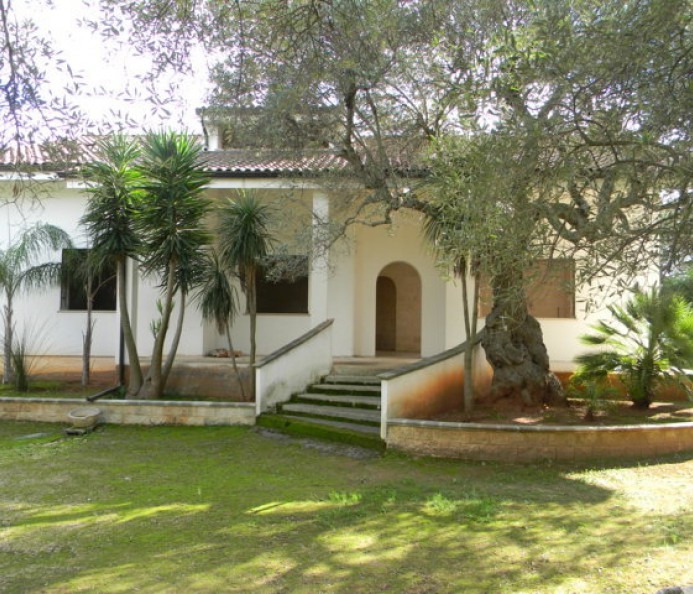 Villa Surrounded By The Green