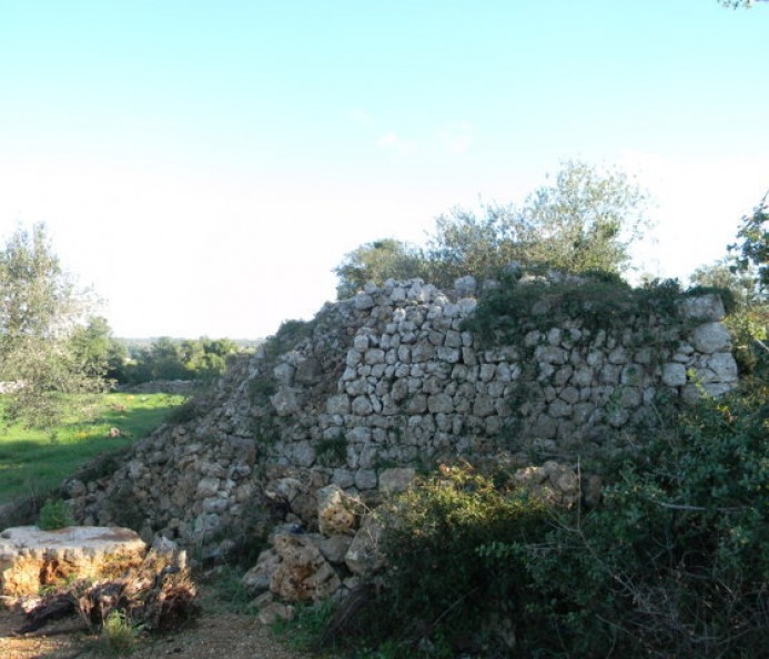 Agricultural Plot Of Land