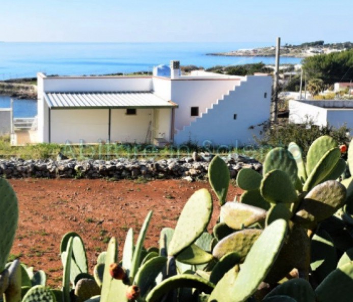 Agricultural land facing the sea