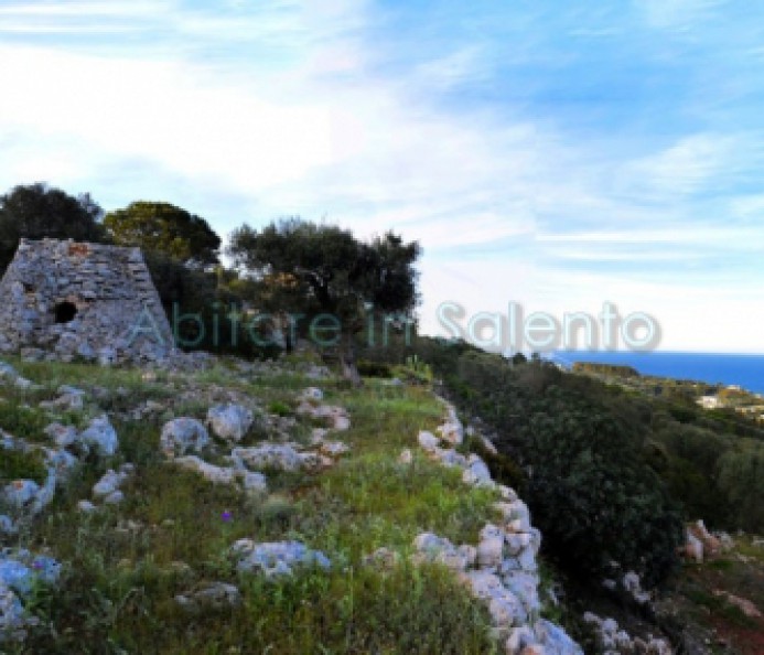 Land with pajara and sea view