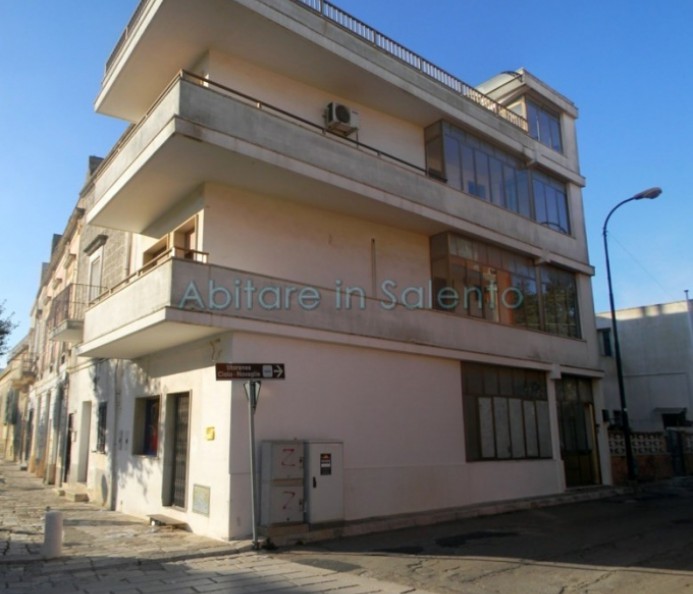 Detached House in the Town Center