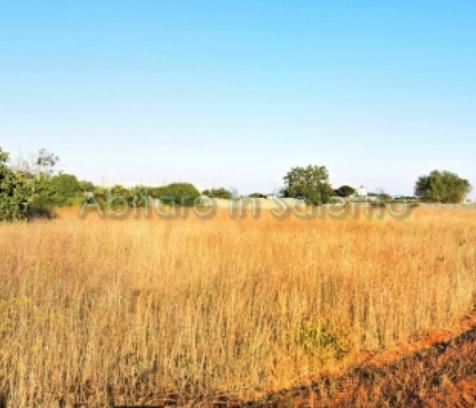 Agricultural land in semi-central area