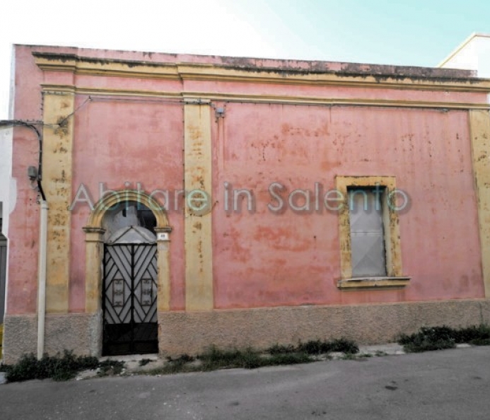 Detached House With Star Vaults and Garden