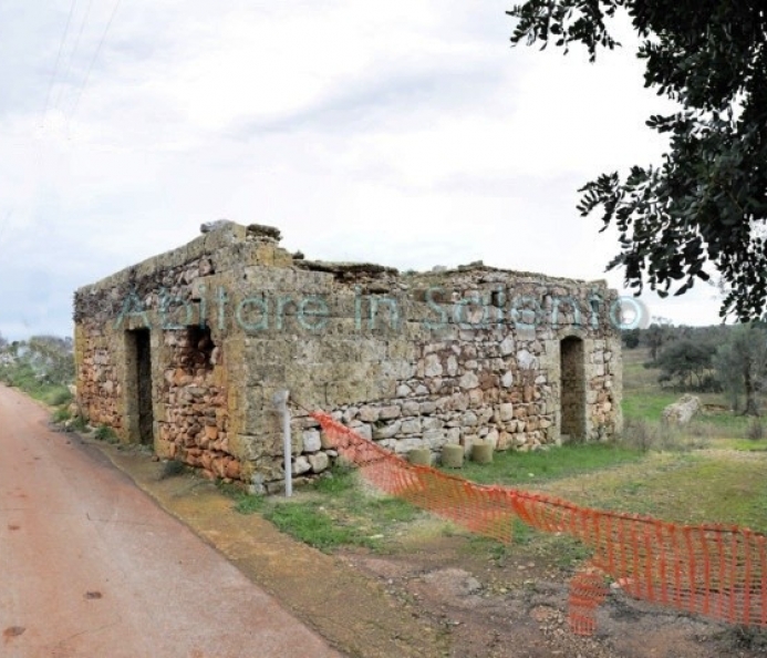 Olive Grove with Old Building