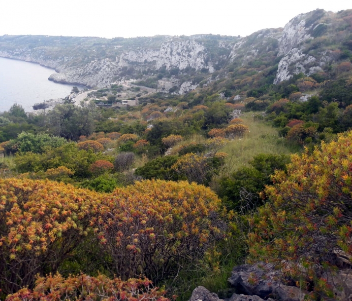 Land on the Adriatic Coast with Sea View