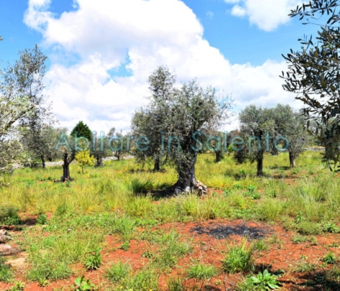  Land with Construction Project