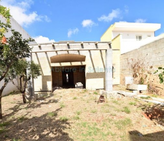 Detached House Vaulted Ceilings in the Rough