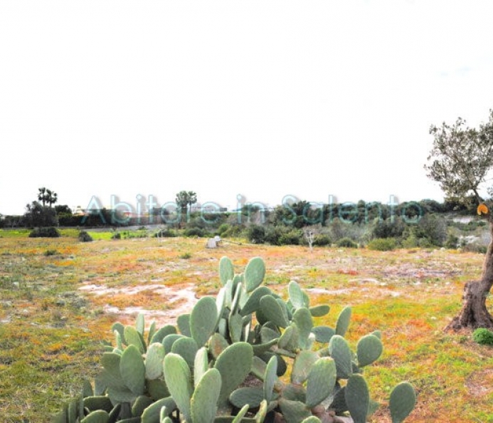 Land with Sea View