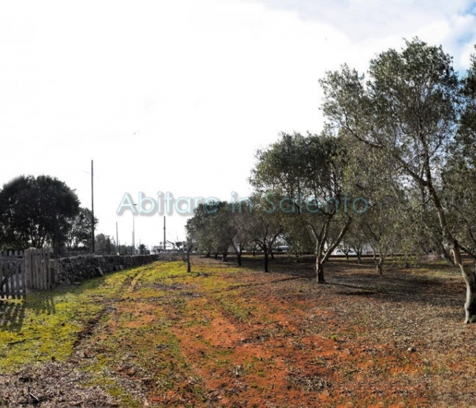 Agricultural Land with Sea View